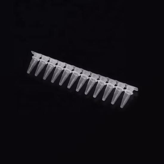 Provetta da centrifuga per PCR graduata da 0,5 ml 1,5 ml con fondo conico trasparente a tenuta stagna trasparente in PP con coperchi con tappo a vite Prezzo