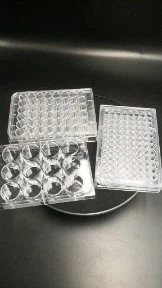 Materiali di consumo Piastra da 60 mm a 96 pozzetti per piastra Petri in plastica per PCR